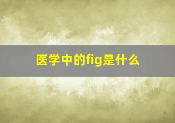 医学中的fig是什么