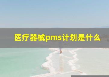 医疗器械pms计划是什么