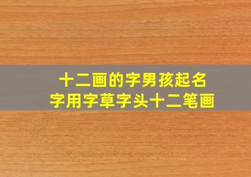 十二画的字男孩起名字用字草字头十二笔画