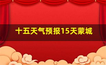 十五天气预报15天蒙城