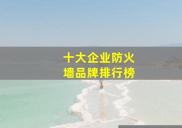 十大企业防火墙品牌排行榜