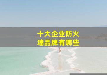 十大企业防火墙品牌有哪些