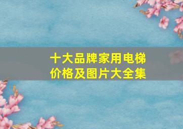 十大品牌家用电梯价格及图片大全集