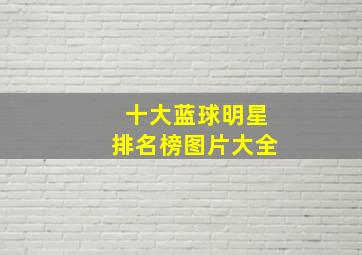 十大蓝球明星排名榜图片大全