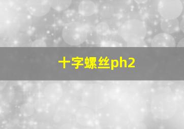 十字螺丝ph2