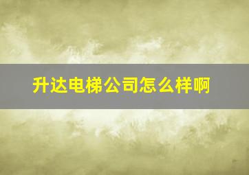 升达电梯公司怎么样啊