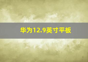 华为12.9英寸平板