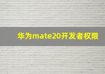 华为mate20开发者权限