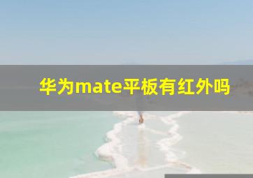 华为mate平板有红外吗