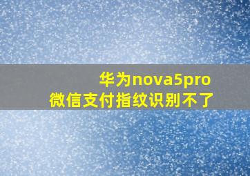 华为nova5pro微信支付指纹识别不了