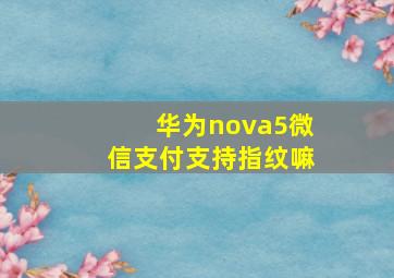 华为nova5微信支付支持指纹嘛