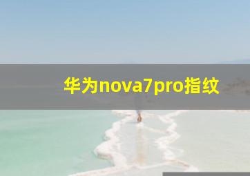 华为nova7pro指纹