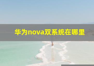 华为nova双系统在哪里