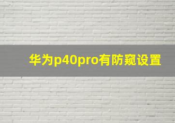 华为p40pro有防窥设置