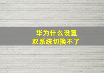 华为什么设置双系统切换不了