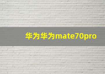 华为华为mate70pro