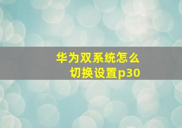 华为双系统怎么切换设置p30