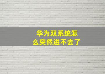 华为双系统怎么突然进不去了