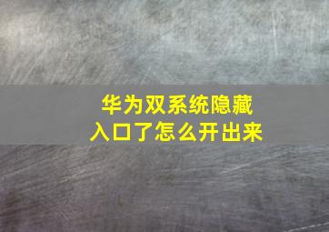 华为双系统隐藏入口了怎么开出来