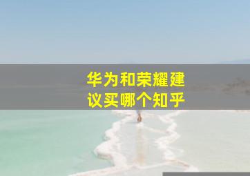 华为和荣耀建议买哪个知乎