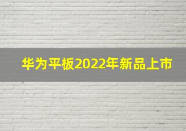 华为平板2022年新品上市