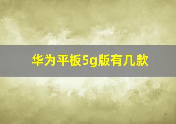 华为平板5g版有几款