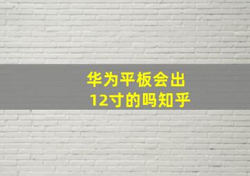 华为平板会出12寸的吗知乎