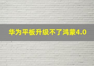 华为平板升级不了鸿蒙4.0