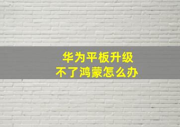 华为平板升级不了鸿蒙怎么办