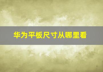 华为平板尺寸从哪里看