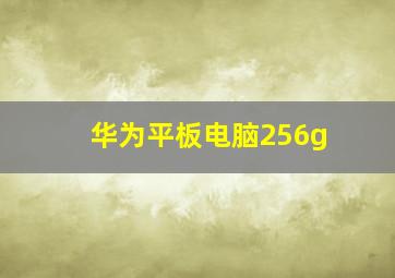 华为平板电脑256g