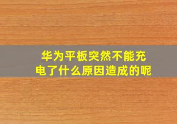 华为平板突然不能充电了什么原因造成的呢