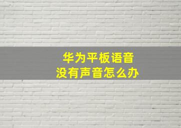 华为平板语音没有声音怎么办