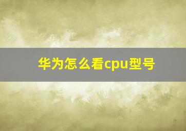 华为怎么看cpu型号