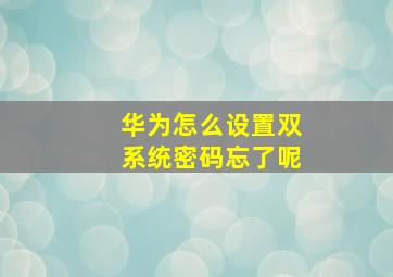 华为怎么设置双系统密码忘了呢