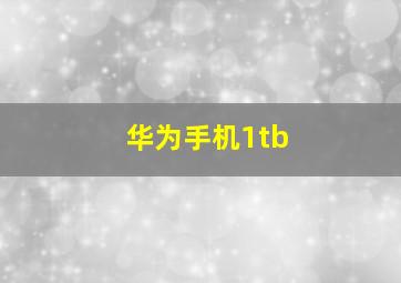 华为手机1tb