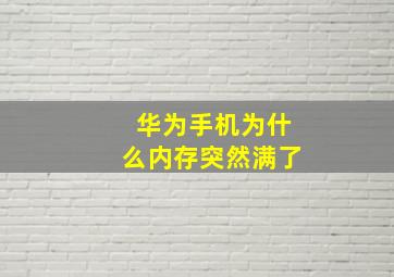 华为手机为什么内存突然满了