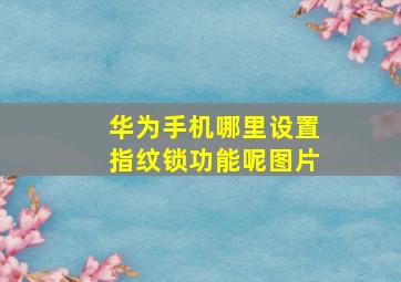 华为手机哪里设置指纹锁功能呢图片