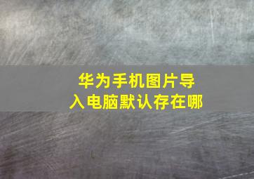 华为手机图片导入电脑默认存在哪