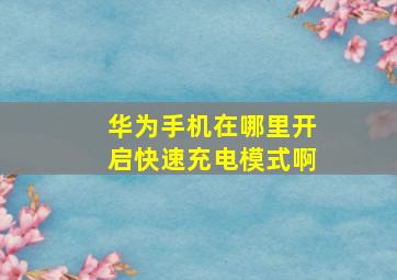 华为手机在哪里开启快速充电模式啊