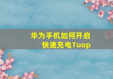 华为手机如何开启快速充电Tuop