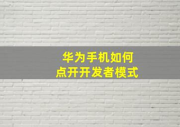 华为手机如何点开开发者模式