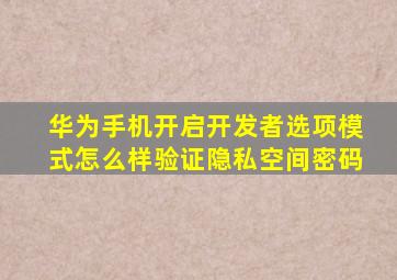 华为手机开启开发者选项模式怎么样验证隐私空间密码