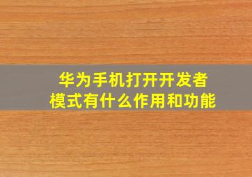 华为手机打开开发者模式有什么作用和功能