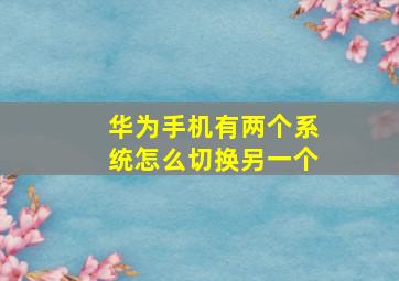 华为手机有两个系统怎么切换另一个