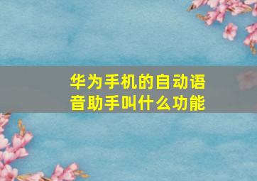 华为手机的自动语音助手叫什么功能