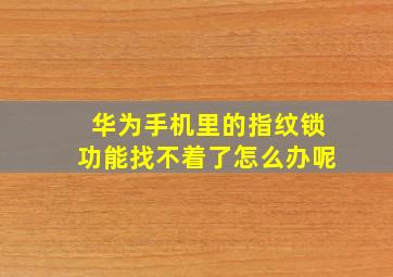 华为手机里的指纹锁功能找不着了怎么办呢