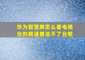 华为智慧屏怎么看电视台的频道要选不了台呢