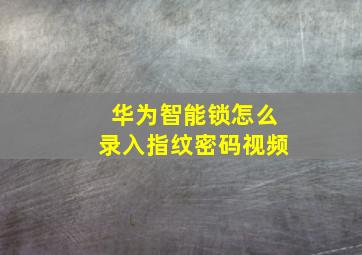 华为智能锁怎么录入指纹密码视频