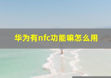 华为有nfc功能嘛怎么用